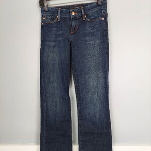 The Provocateur by Joe's Jeans Size 25